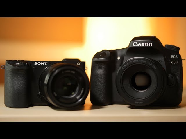 Canon vs Sony Video Autofocus! 80D vs a6500 FIGHT