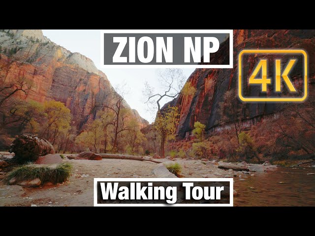 4K City Walks: Zion NP Utah Riverside Walk Trail - Virtual Walk Walking Treadmill Video free tour