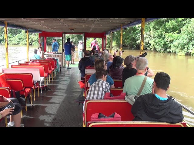 PSVR 3D COSTA RICA  Cano Negro Boat Tour