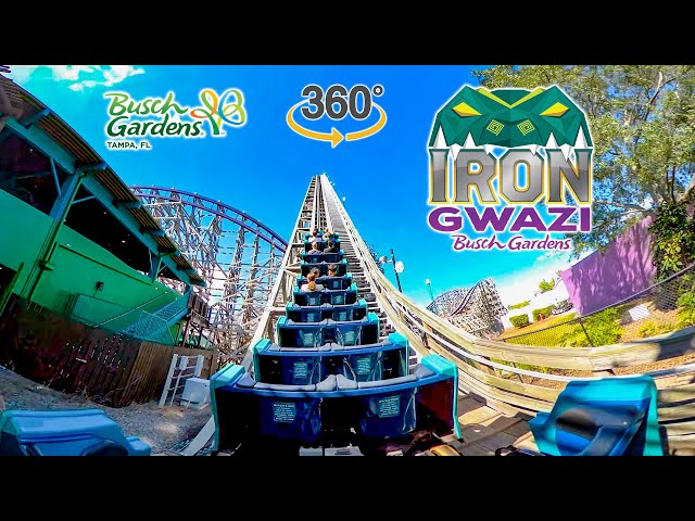 VR 360 Iron Gwazi Roller Coaster On Ride Back Seat POV Busch Gardens Tampa 2023 10 31