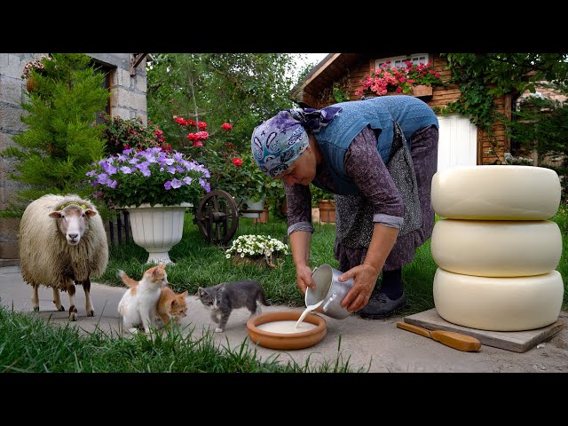 Fresh Sheep's Milk Cheese Making in Nature 🧀🐑🍃