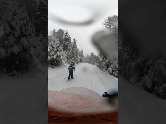 Skiing on Blacktail Mountain Nordic Trails, near Lakeside, Montana. #mountains #montana #snow