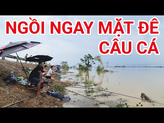 XƯA NAY HIẾM NGỒI NGAY MẶT ĐÊ CÂU CÁ TẠI LƯƠNG TAI-BẮC NINH#câucásông#fishing