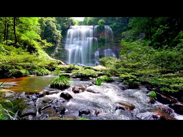 Waterfall flowing over rocks in forest 4k. Relaxing flowing water, White Noise for Sleep, Meditation