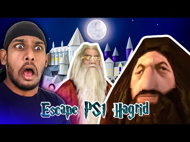 හැග්රිට් හැරීගෙ යාලුවෙක් නෙමෙයි ද ? Escape Hagrid Sinhala Gameplay