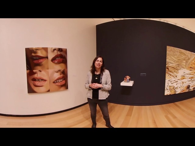 360° Exhibition Tour | Julia Jacquette: Unrequited and Acts of Play | Led by Director Tracy L. Adler