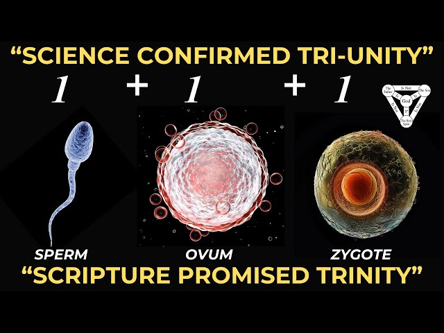 John Lennox questioned on the trinity (brilliant scientific analogy!)