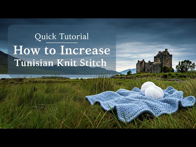 How to Increase Tunisian Crochet | Knit Stitch | Quick Stitch Tutorial