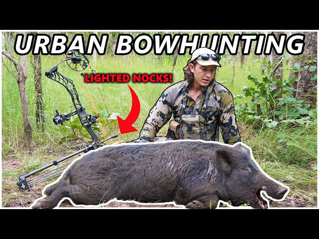 Bowhunting URBAN BOARS just 5 minutes from TOWN!