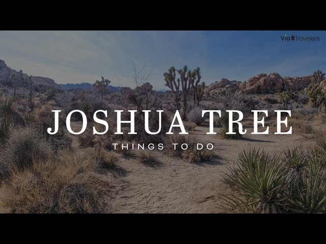 Joshua Tree National Park | Top Hikes & Things to Do [4K HD]