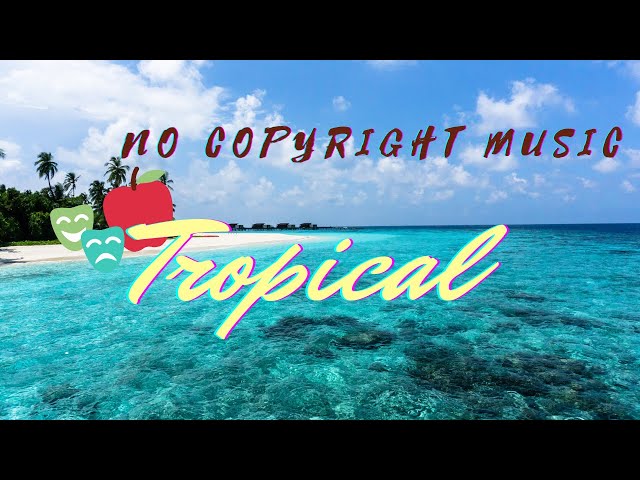 Tropical Chill No Copyright Free Instrumental Background Music For Videos | Royalty Free Music