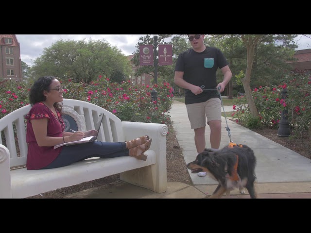 A Day In The Life Of A Dog (RTV Project)