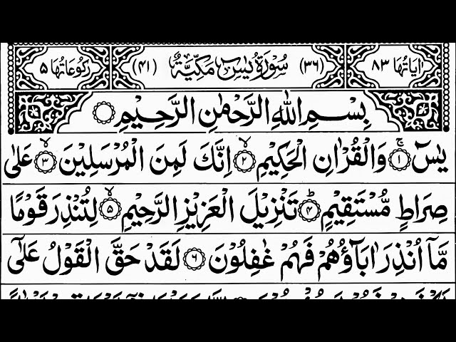 Live Surah Yaseen | Yasin | Best quran tilawat | Beautiful Recitation Surah Yasin Surah Rahman | 358