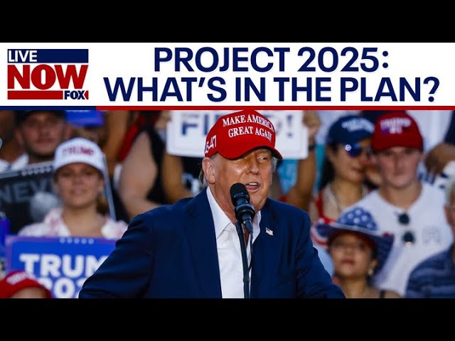 PROJECT 2025: Author defends conservative plan from attacks | LiveNOW from FOX