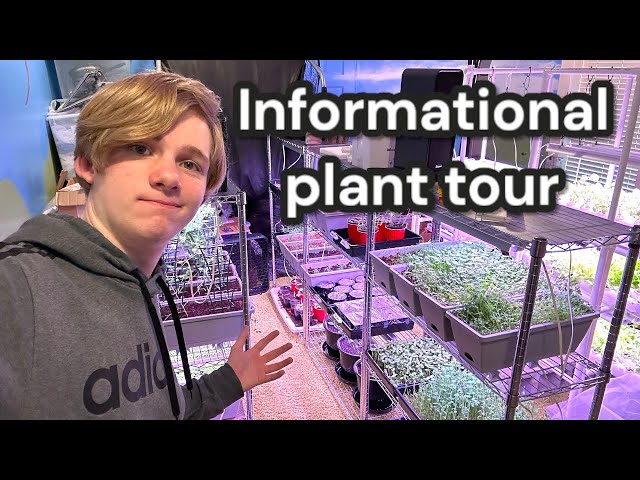 Informational plant tour and watering plants