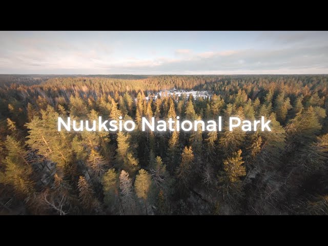 Nuuksio National Park in Winter - Cinematic Video