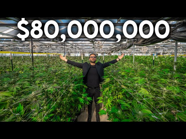 Inside The Most Expensive Cannabis Farm For Sale in the United States