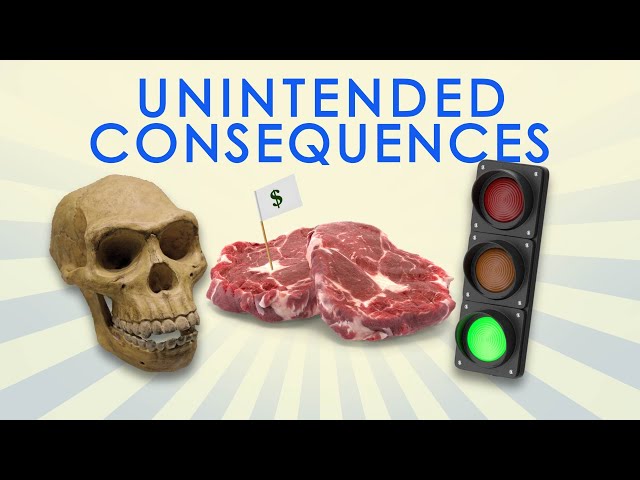 Great Moments in Unintended Consequences: Fossils, Price Controls, Traffic Lights (Vol. 17)