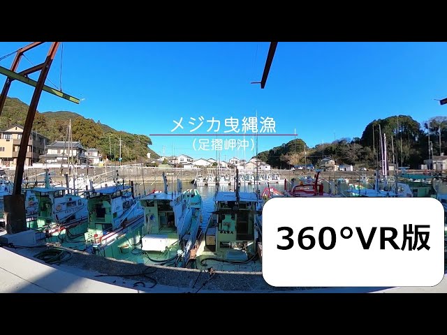 【高知県】メジカ（マルソウダガツオ）曳縄漁（360°VR）【漁業紹介動画】