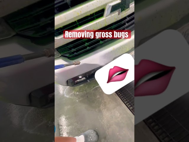 Getting rid of those gross bugs! 🤮 #milliondollarbaby #detail #automobile #tiredoctor #bugs #bug