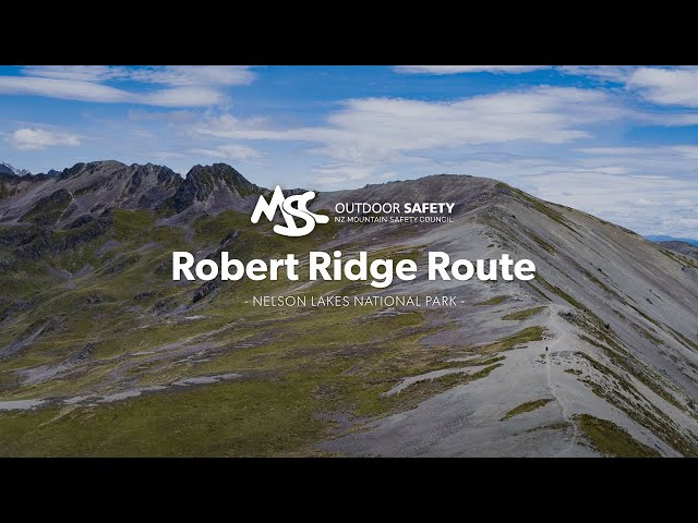 Robert Ridge Route: Alpine Tramping (Hiking) Series | New Zealand