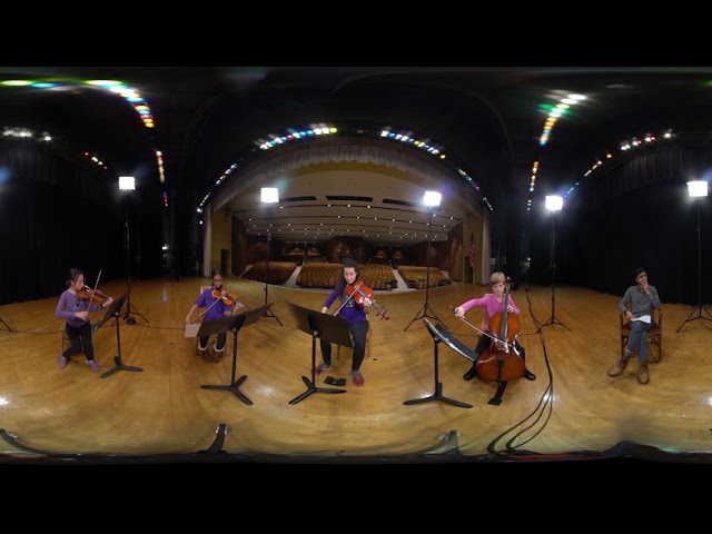 Face the Music Virtual Reality: Young Quartet