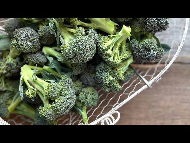 How an expert FREEZES BROCCOLI