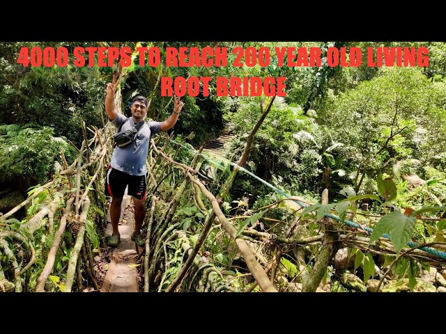 Most difficult trek in Meghalaya? Completed in 1 day #travel #trekking #rootbridge #explore #nature