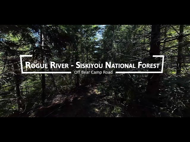 VR 360° Rogue River - Siskiyou National Forest - unknown trail recon