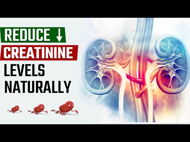 Reduce Creatinine Levels Naturally