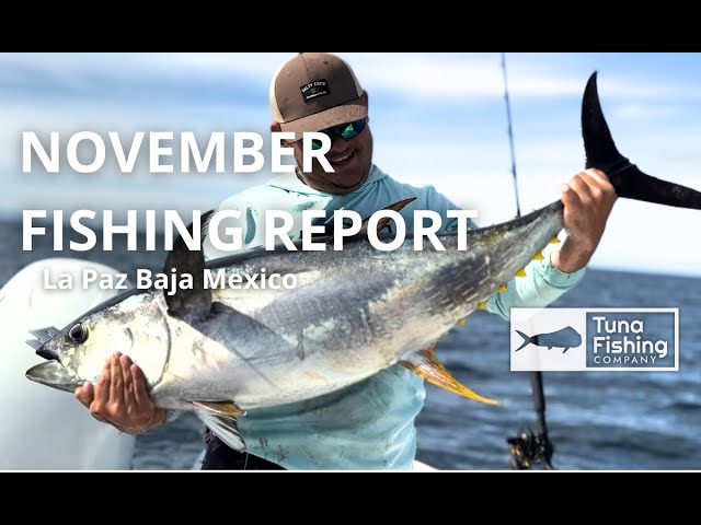 La Paz FISHING REPORT Novermber 2024 #fishing #fishingvideo #sportfishing #fishinglife #fish #pesca