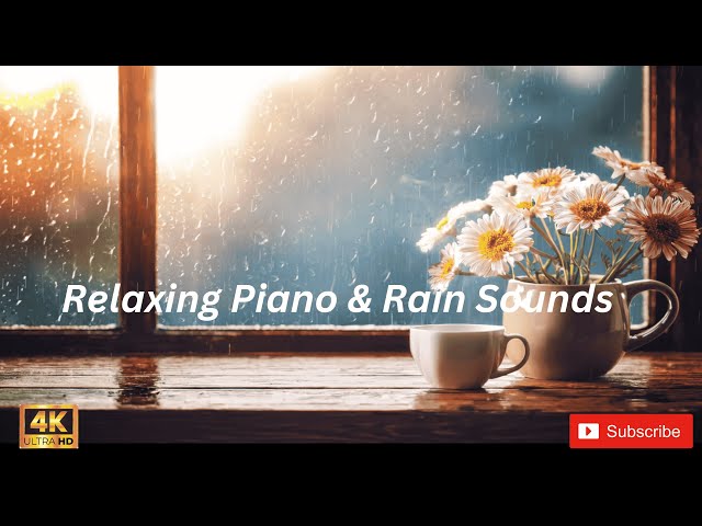 🎵 Relaxing Piano & Rain Sounds – Sleep, Study, Meditate | 24/7 Live