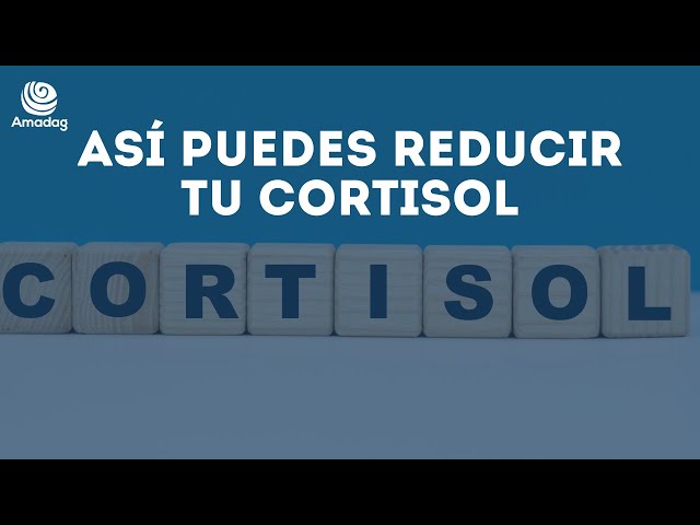 COMO REDUCIR TUS NIVELES DE CORTISOL