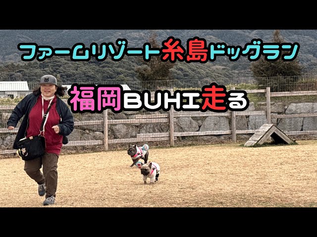 【ファームリゾート糸島】福岡BUHIドッグランを走る