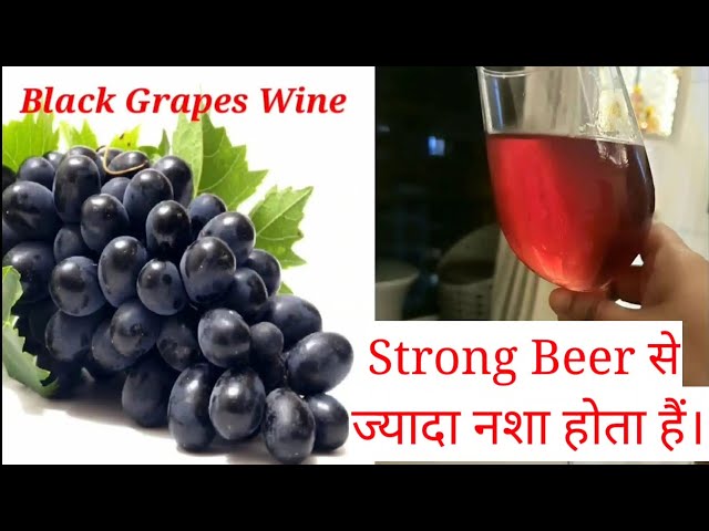 Black Grapes Wine Easy Recipe / Black Grapes Wine At Home / Red Wine Recipe