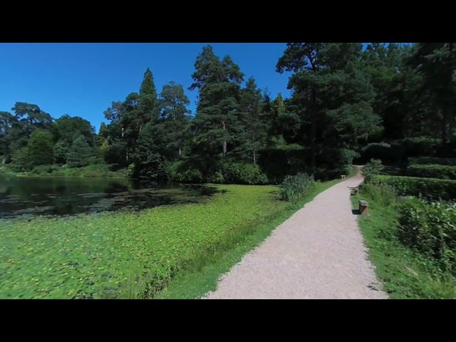 VR 180 Leonardslee Gardens Sussex