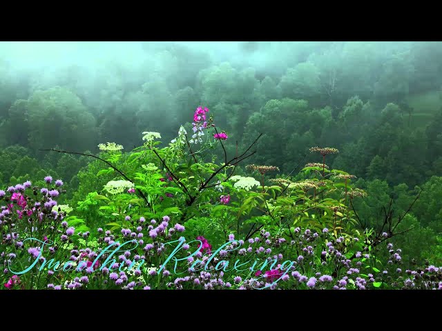 Rain Sounds with Tibetan Singing Bowls and Birds chirping in the forest [ Sleep Music ]