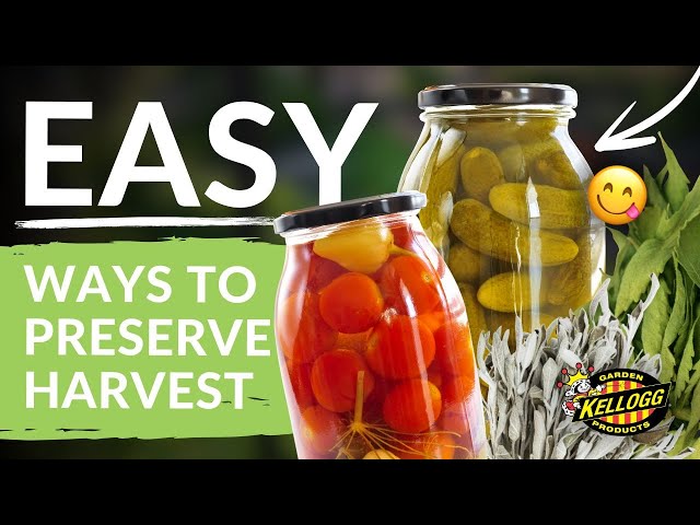 Easy Ways to Preserve Your Harvest for Year-Round Enjoyment