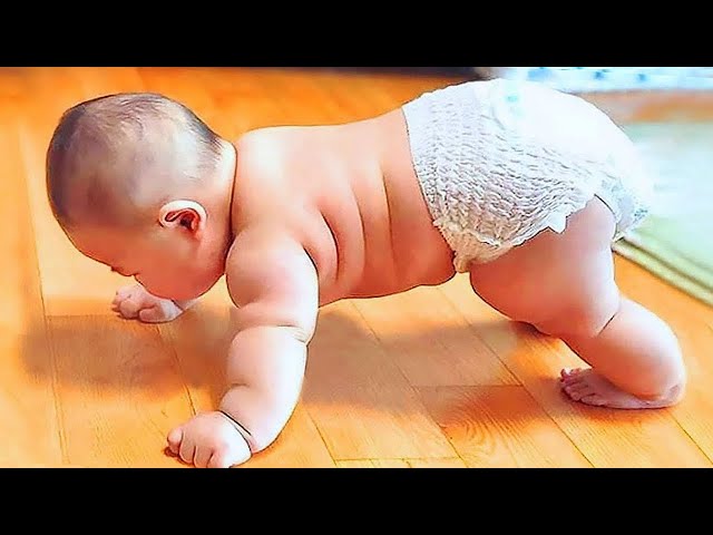 🔴[LIVE] Cutest And Funniest Chubby Baby EVER Will Make You Laugh || Cool Peachy