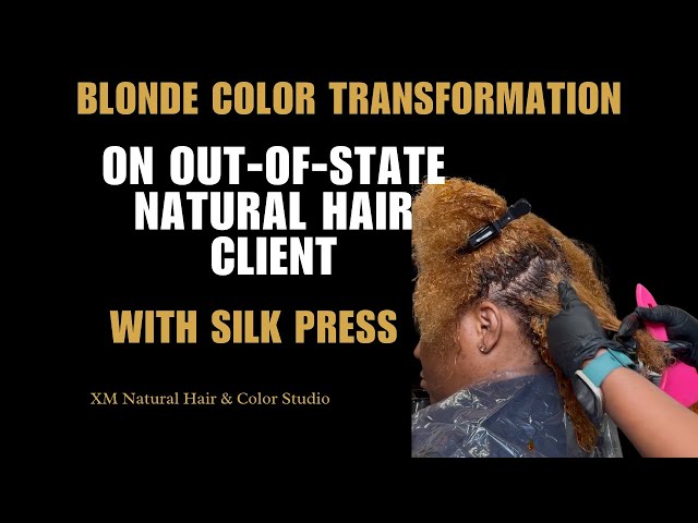 Blonde Refresh & Silk Press Transformation | Softening Harsh Roots + Toning and Silk Press