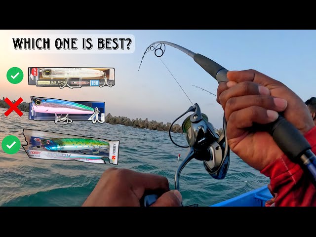 Non-Stop Action with Poppers! How to Catch Fish on Lures 🎣