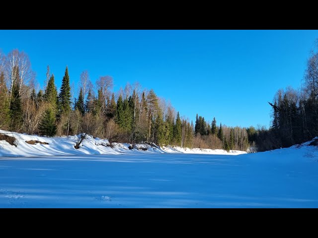 Crazy fish bite/Бешенный клёв рыбы. #fishing #icefishing #perch #grayling #лайка #suomenpystykorva