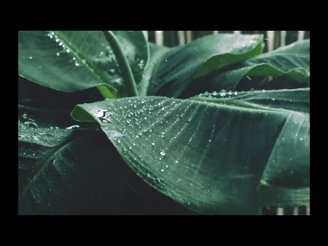 Relaxing and sleeping rain sound