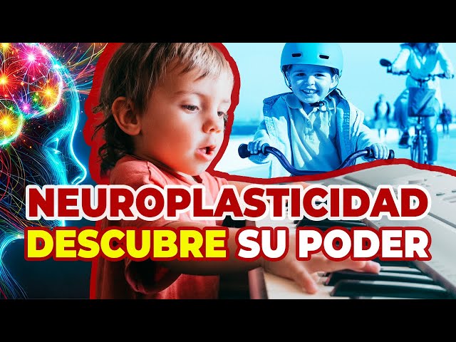 EL PODER DE LA NEUROPLASTICIDAD EN TUS HIJOS