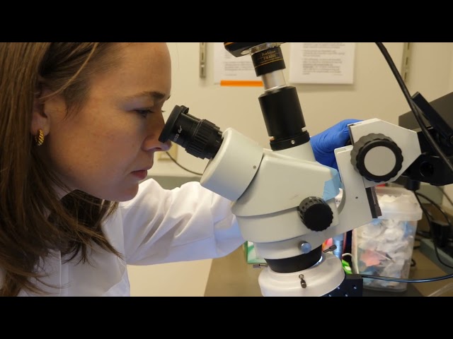 Meet the MIT Bio Faculty: Sara Prescott