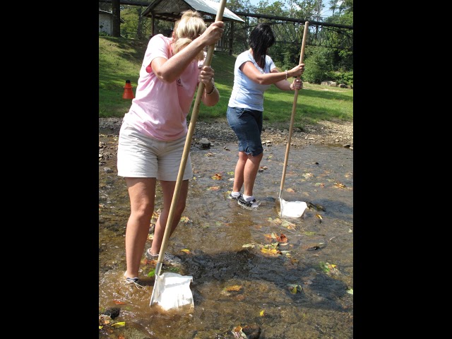 Aquatic biomonitoring | Wikipedia audio article