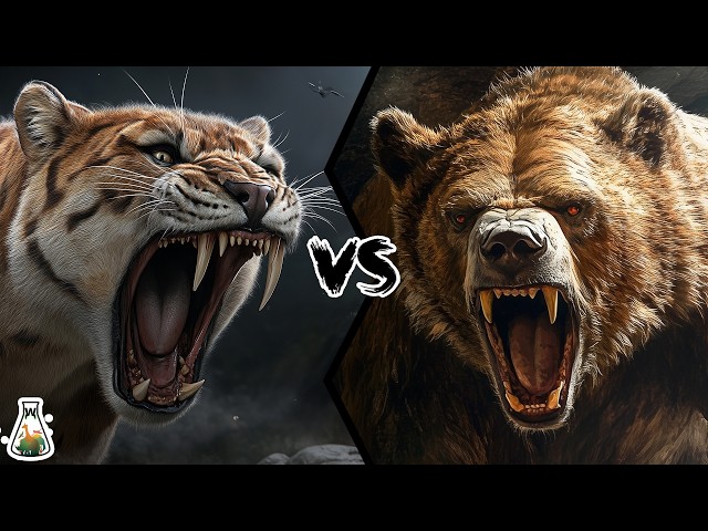 Saber-Toothed Tiger vs Cave Bear - Who Would Have Won This Fight?