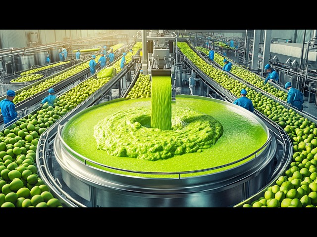 How Guacamole Sauce is Produced in Factory | The Avocado’s Journey