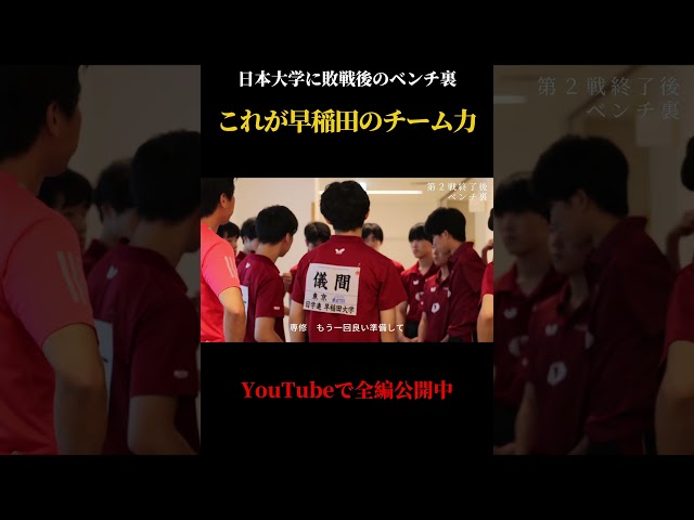 リーグ戦の舞台裏｜次の試合まで90分、敗戦の悔しさに浸る暇はない… #wasedauniversity #tabletennis #早稲田大学