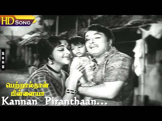 Kannan Piranthaan HD - M.G.R | Saroja Devi | Petralthan Pillaiya | M.S.V | T.M.S | P.Susheela